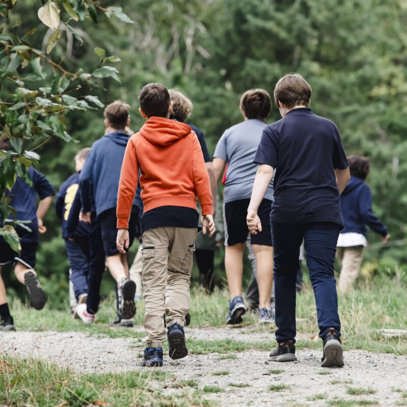 Kenneth Gordon Maplewood School Publicly Traded Securities - kids walking through forests.